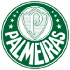 Strój Palmeiras dla Damskie